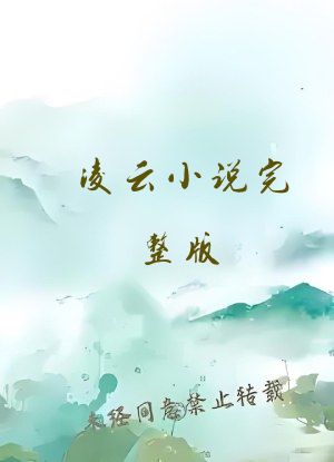 凌云小说完整版