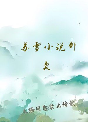 苏雪小说外卖